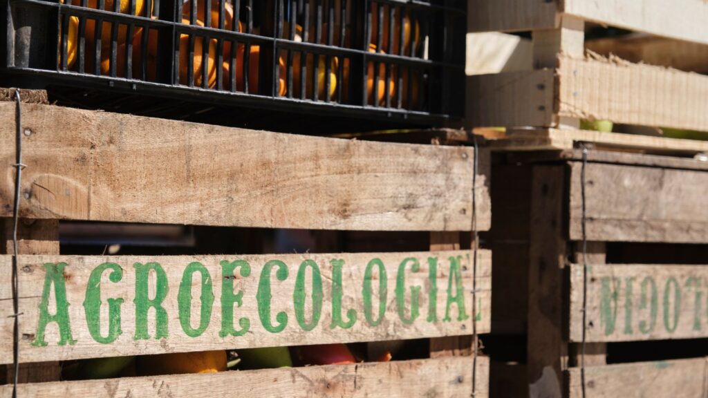 Agroecologia - UNAH