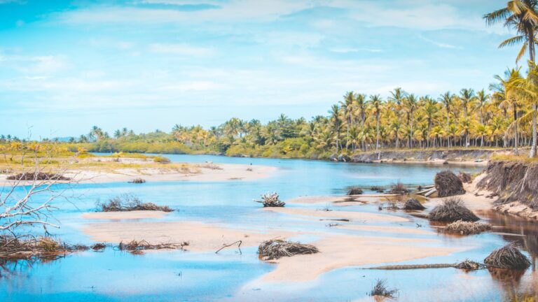 Blog Unah 11 Rio de águas claras com coqueiral ao fundo na Bahia
