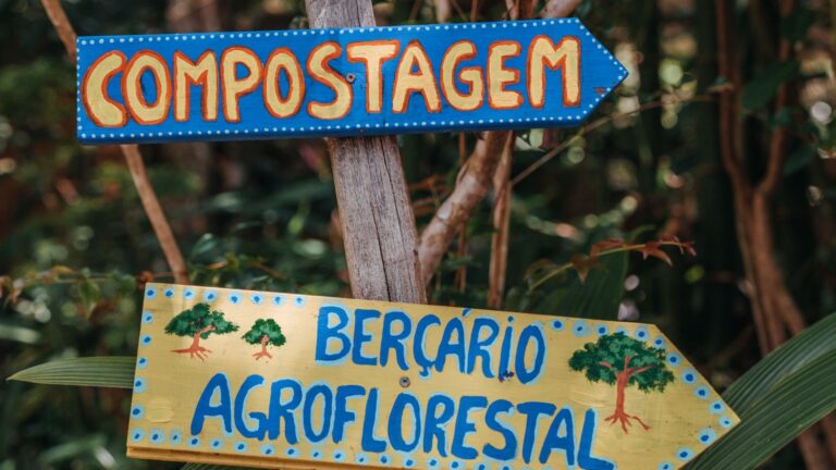 Placas de madeira indicando a compostagem e o berçário agroflorestal
