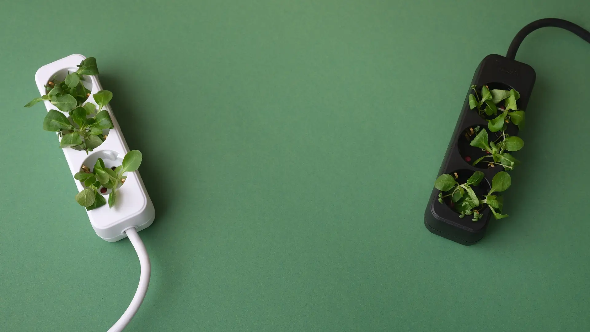 Blog Unah 1 Impacto Sustentável - UNAH