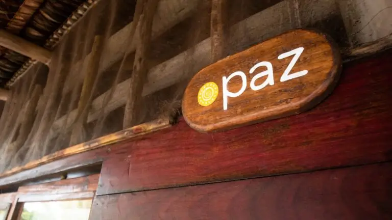 Blog Unah 11 Placa de madeira com a palavra paz em parede de madeira vermelha