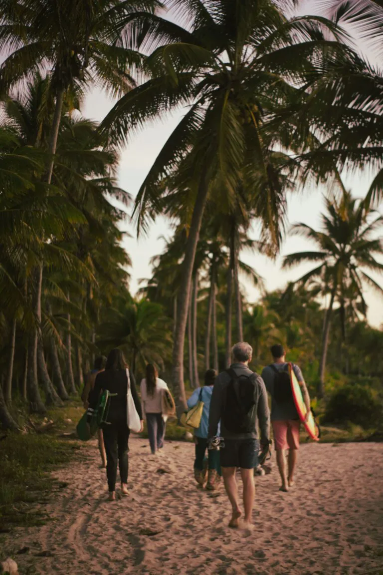 Grupo caminhando com pranchas entre coqueiros a caminho da praia em Piracanga